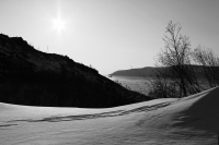 ..есть повод прийти сюда ещё один раз ..