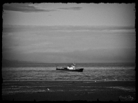 Унылое спокойствие