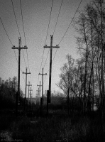 ..мечты о странствиях и переменах