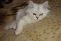 Ли-Лу в детстве