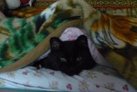 опять разбудили