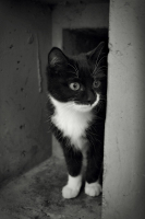 Ищет Друга!!!