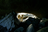 Ханта - старожил мыса Кир