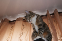 Сама не поняла как уснула