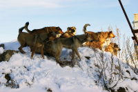 Че сказал?! Сюда иди !