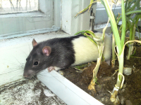 Фух...Клада не нашел. Где бы ещё напакостить?)))