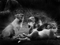 !!!!!!пропадут ведь!!!!!!!