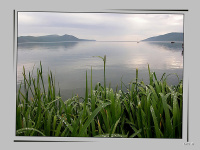 Зеленый прибой