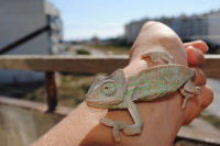 мой жорик :)