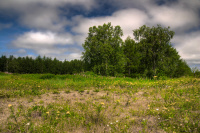 это было летом