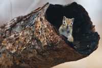 заходите в гости...