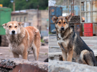 Как провожают пароходы... )