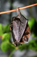 когда в мире всё спокойно, герои спят