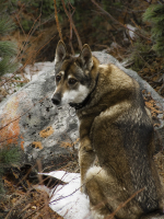 Ну и куда ты меня завел