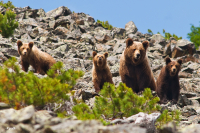 мама, а люди есть ? нет дети- это фантастика...