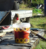 Полосатый воровайка