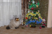 А_зачем_нам_гирлянда