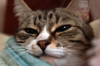 ну и зачем будили ???