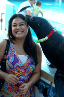 Тайские любимцы