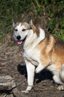 нас не надо жалеть...