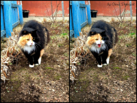 гроза полей и огородов