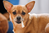 дядя,огоньку не найдётся?