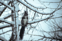 Не снимайте, я же голая! :)