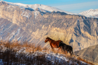 Спокойствие