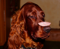 Сила воли)))