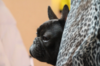 и скучно и грустно...