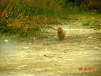 даже....не пойми кто:-)