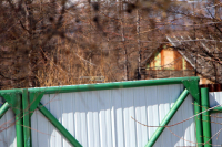 бурундушка