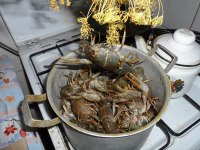 Цепляется за жизнь )