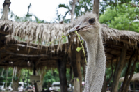 а что вы тут делаете...а?=)