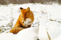 "я стесняюсь,не снимай меня"))