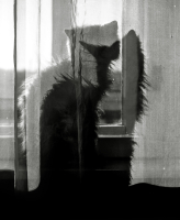 Канун марта