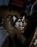 Виноградинка