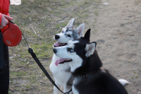 Касадор с подругой