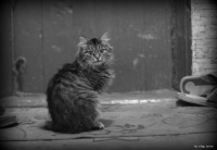 Челябинск...