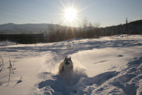 Утро 1го января