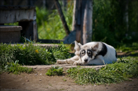 ..солнечный денек