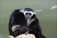 Мысли о вечном...