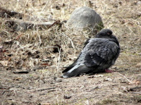 чувствуя прохладу