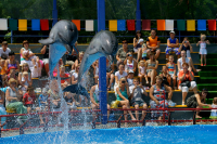 Я в отпуске