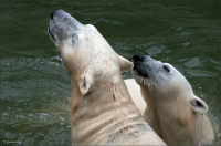 Ещё раз про любовь...