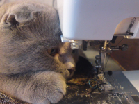 Ну как же она работает, зараза такая!?