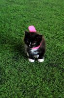 Я совсем маленький..)