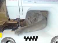 - Кто заказывал такси на Дубровку?