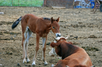знакомство