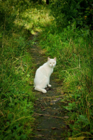 Хде-то я Тебя видел...